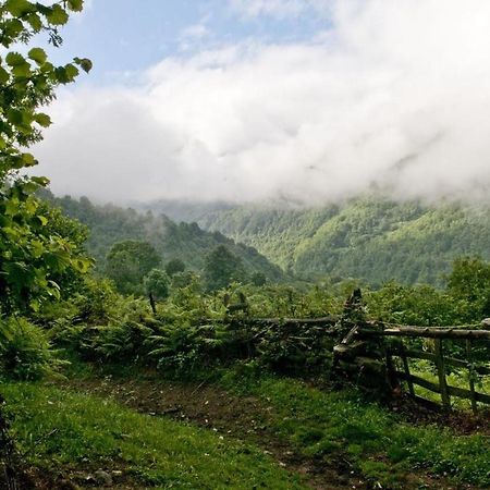 Apto. De Montana La Campa En Felechosa Zewnętrze zdjęcie