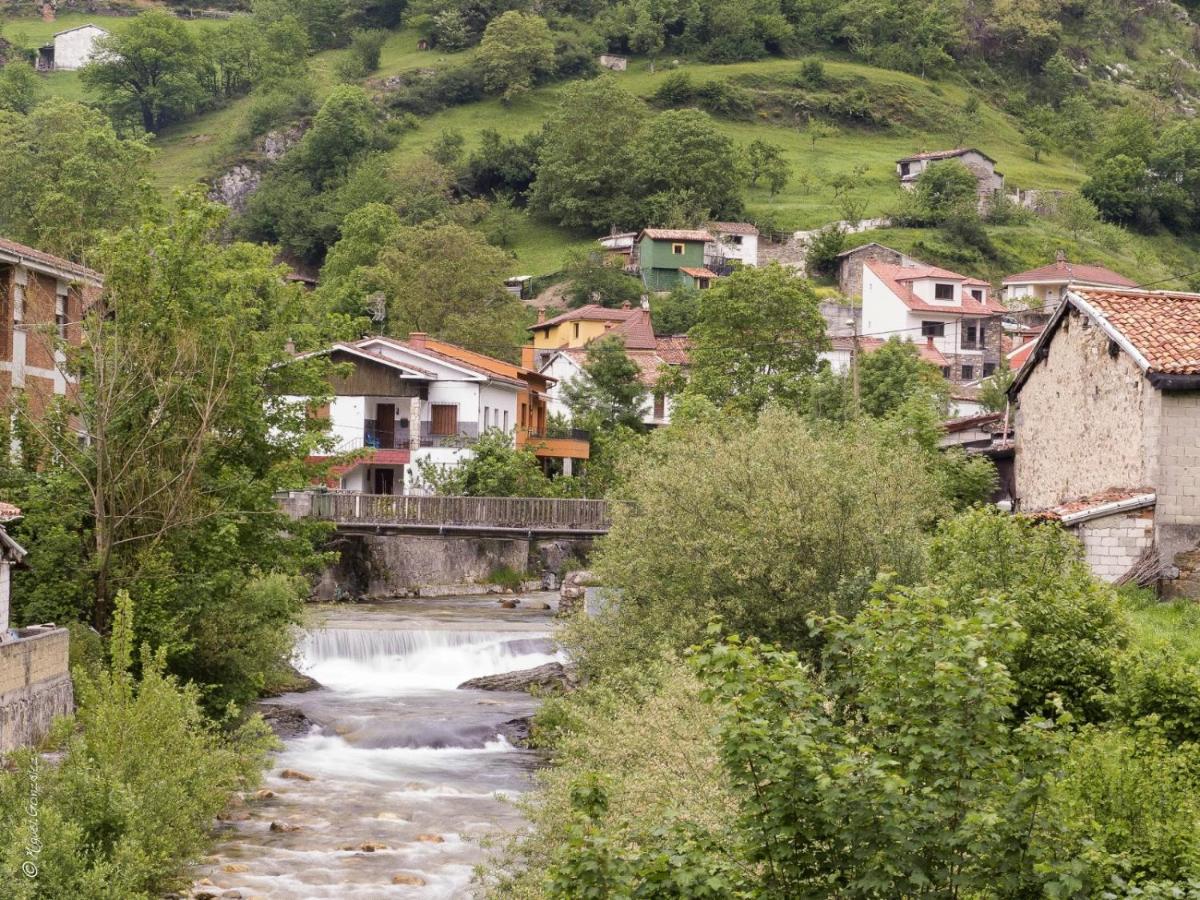 Apto. De Montana La Campa En Felechosa Zewnętrze zdjęcie